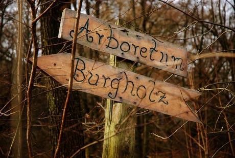 Arboretum: Burgholz